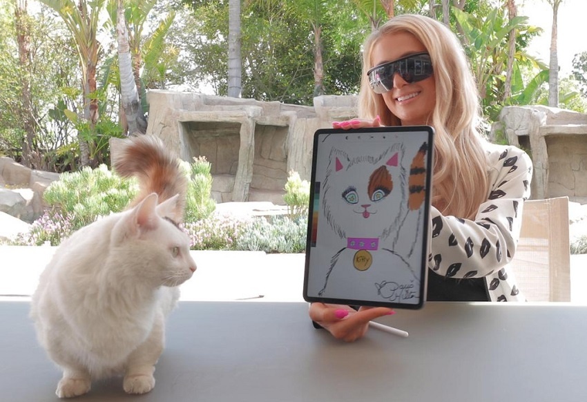 Paris Hilton auctions her cat's portrait as an NFT token on the Ethereum blockchain