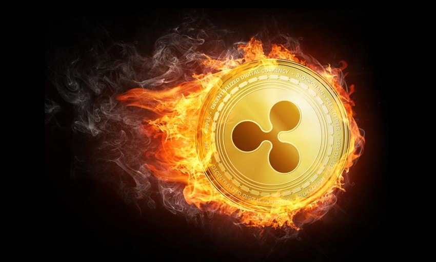 Ripple could burn its 48 billion XRP tokens says CTO David Schwartz