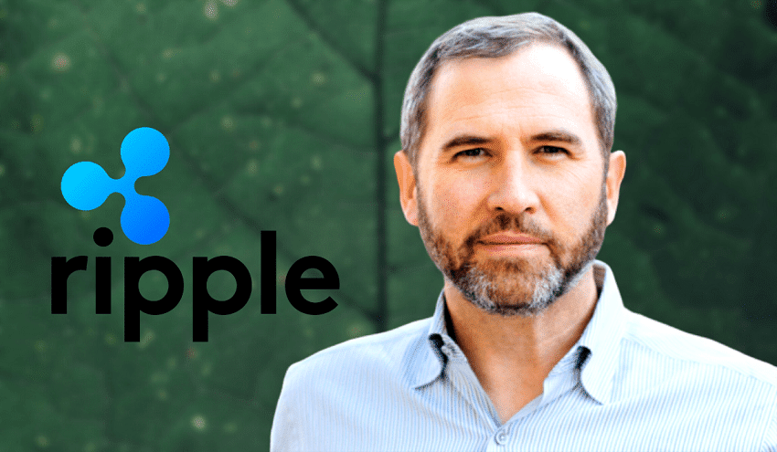 Ripple CEO speaks on Twitter and provides update on upcoming lawsuit regarding illegal sale of XRP tokens