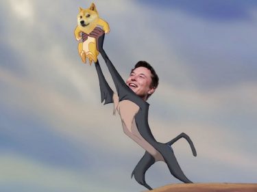 Elon Musk removes Bitcoin from his Twitter account and talks about Dogecoin (DOGE) again