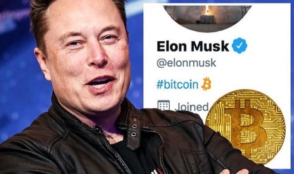 A bot trading that buys BTC as soon as Elon Musk talks about Bitcoin on Twitter