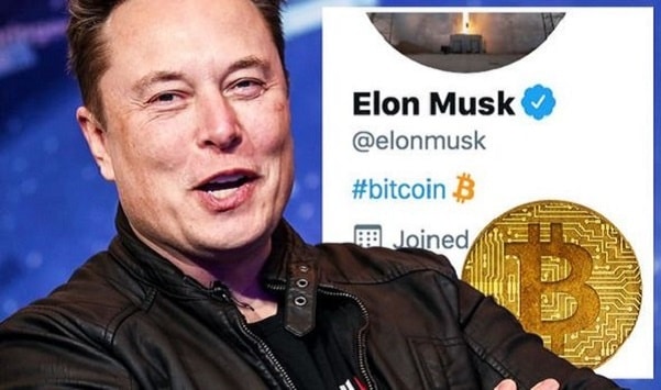 elon musk bitcoin trading